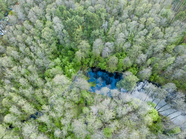 溪流在绿树间 空中无人驾驶飞机视图 — 图库照片