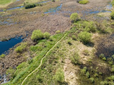 Yeşil bir çayırda nehir sızıntısı. Hava aracı görünümü.