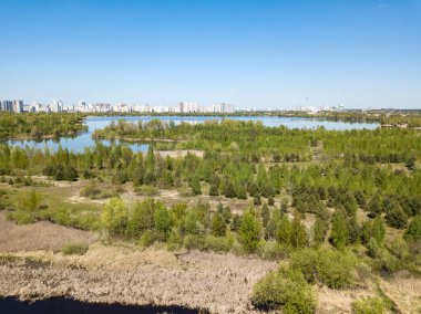 Yeşil bir çayırda nehir sızıntısı. Hava aracı görünümü.