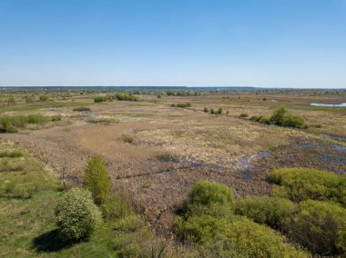 Baharda şehrin kenar mahallelerindeki yeşil çayırlar. Hava aracı görünümü.