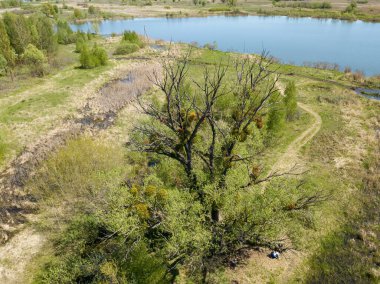 Baharda nehir kıyısında. Hava aracı görünümü.