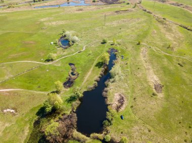Yeşil bir çayırda nehir sızıntısı. Hava aracı görünümü.