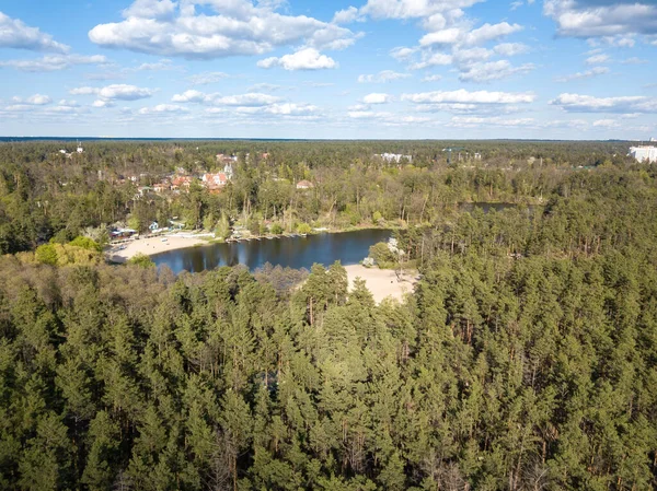 Lago Floresta Coníferas Primavera Vista Aérea Drones — Fotografia de Stock