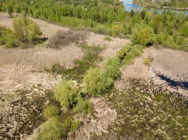 Flooded grass among the steppe. Aerial drone view.