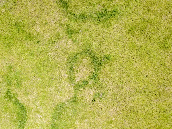 Pradera Verde Vista Aérea Del Dron —  Fotos de Stock