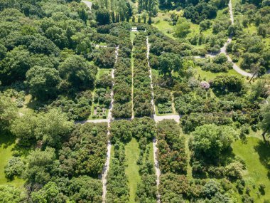 Yeşil ağaçların arasında yol. Hava aracı görünümü.