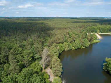Baharda kozalaklı ormanda göl. Hava aracı görünümü.