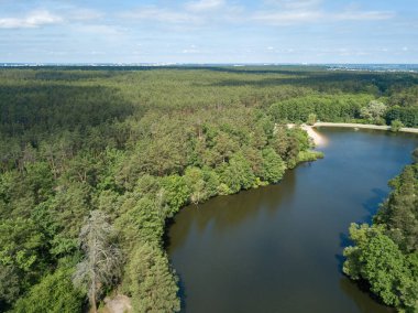 Baharda kozalaklı ormanda göl. Hava aracı görünümü.