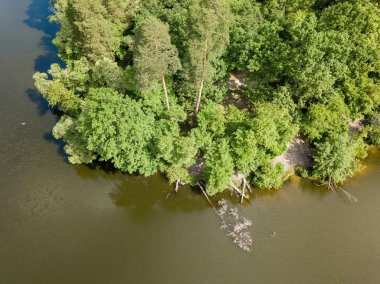 Orman gölü kıyısı. Hava aracı görünümü.