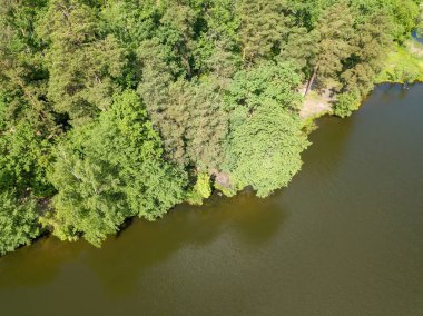 Orman gölü kıyısı. Hava aracı görünümü.