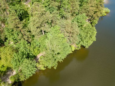 Orman gölü kıyısı. Hava aracı görünümü.