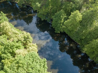 Baharda yeşil ağaçların arasında akarsu. Hava aracı görünümü.