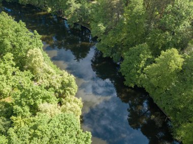 Baharda yeşil ağaçların arasında akarsu. Hava aracı görünümü.