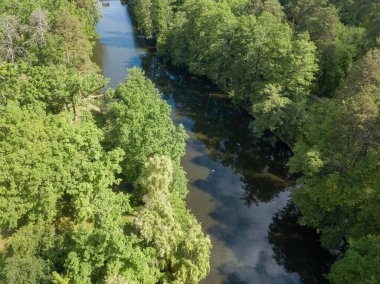 Baharda yeşil ağaçların arasında akarsu. Hava aracı görünümü.