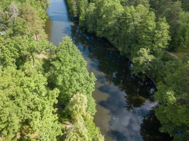 Baharda yeşil ağaçların arasında akarsu. Hava aracı görünümü.