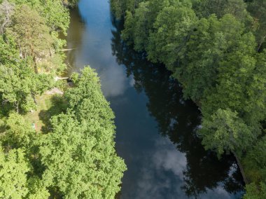 Baharda yeşil ağaçların arasında akarsu. Hava aracı görünümü.