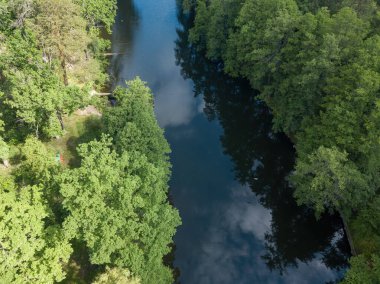 Baharda yeşil ağaçların arasında akarsu. Hava aracı görünümü.