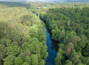 Baharda yeşil ağaçların arasında akarsu. Hava aracı görünümü.