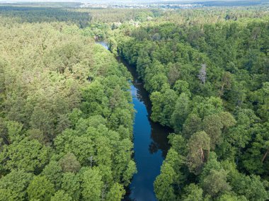 Baharda yeşil ağaçların arasında akarsu. Hava aracı görünümü.