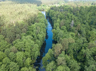 Baharda yeşil ağaçların arasında akarsu. Hava aracı görünümü.