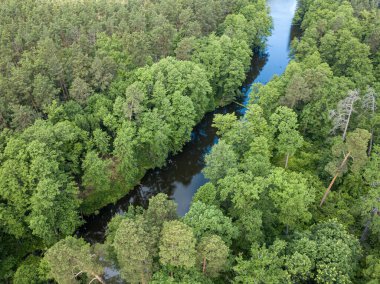 Baharda yeşil ağaçların arasında akarsu. Hava aracı görünümü.