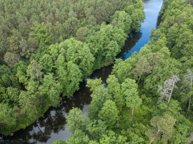 Baharda yeşil ağaçların arasında akarsu. Hava aracı görünümü.