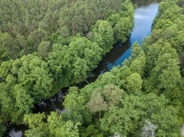 Baharda yeşil ağaçların arasında akarsu. Hava aracı görünümü.