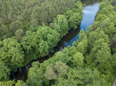 Baharda yeşil ağaçların arasında akarsu. Hava aracı görünümü.