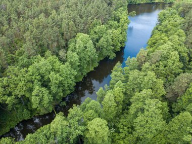 Baharda yeşil ağaçların arasında akarsu. Hava aracı görünümü.