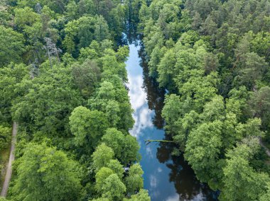 Baharda yeşil ağaçların arasında akarsu. Hava aracı görünümü.