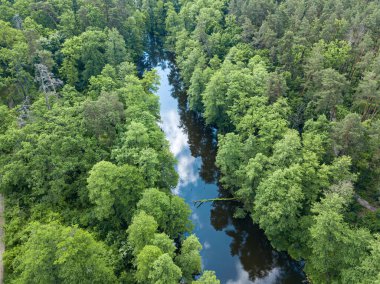 Baharda yeşil ağaçların arasında akarsu. Hava aracı görünümü.