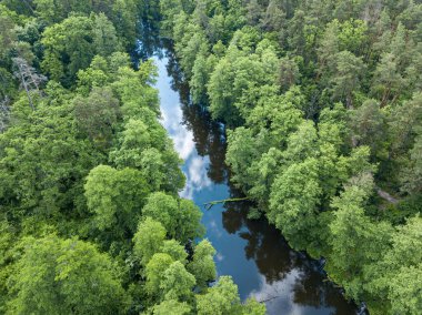 Baharda yeşil ağaçların arasında akarsu. Hava aracı görünümü.