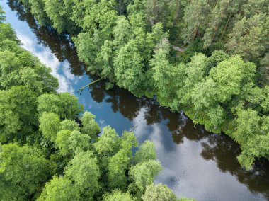 Baharda yeşil ağaçların arasında akarsu. Hava aracı görünümü.