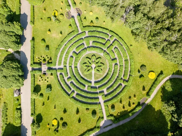 植物の迷路 空中ドローンビュー — ストック写真