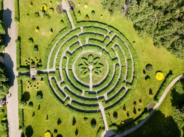 植物の迷路 空中ドローンビュー — ストック写真