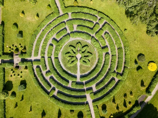 植物の迷路 空中ドローンビュー — ストック写真