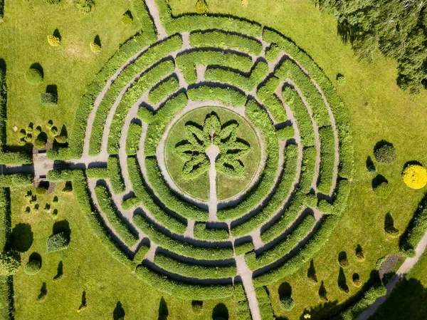 植物の迷路 空中ドローンビュー — ストック写真