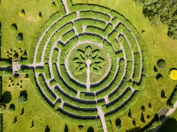 植物の迷路 空中ドローンビュー — ストック写真