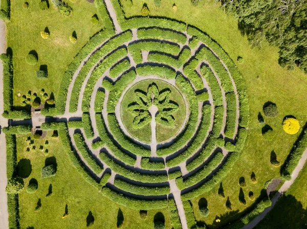 植物の迷路 空中ドローンビュー — ストック写真