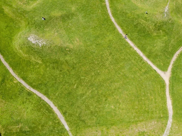 Шлях Серед Зеленої Трави Повітряний Вигляд Безпілотника — стокове фото