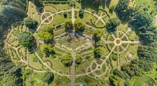 植物の迷路 空中ドローンビュー — ストック写真