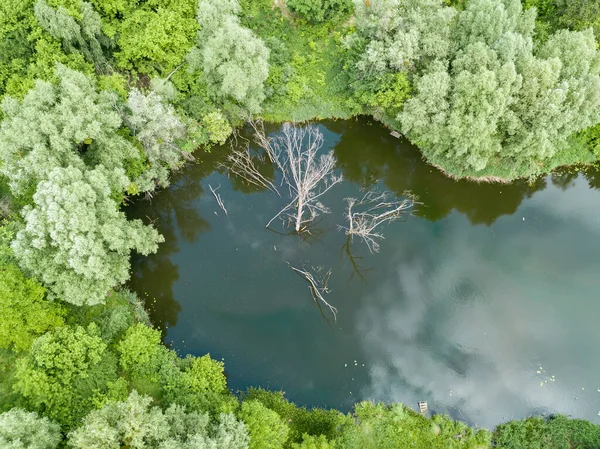 春天在针叶林中的湖 空中无人驾驶飞机视图 — 图库照片