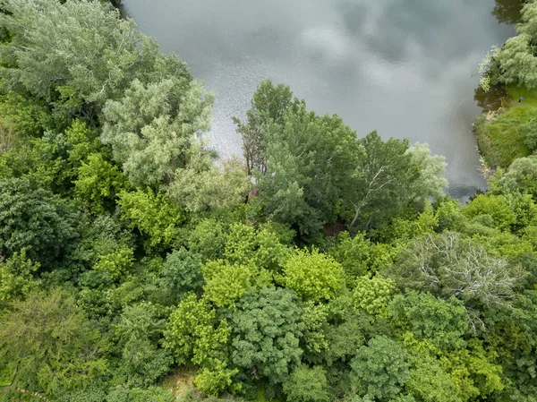 Lago Bosque Coníferas Primavera Vista Aérea Del Dron —  Fotos de Stock