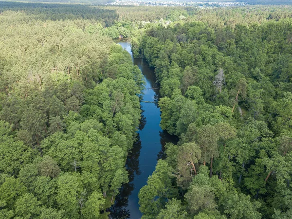 Baharda yeşil ağaçların arasında akarsu. Hava aracı görünümü.