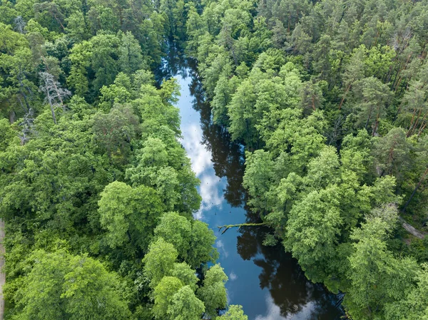 Baharda yeşil ağaçların arasında akarsu. Hava aracı görünümü.