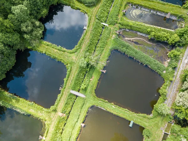 Fish farm ponds. Aerial drone view.