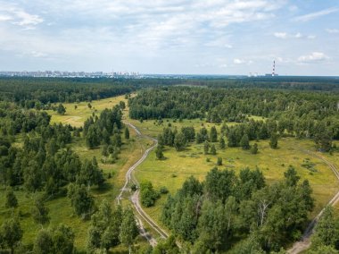 Yeşil yaz ormanlarında toprak yol. Hava aracı görünümü.
