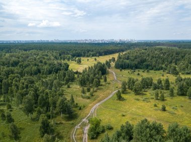 Yeşil yaz ormanlarında toprak yol. Hava aracı görünümü.