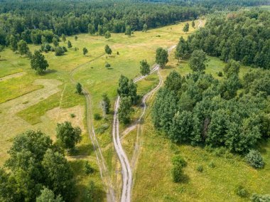 Yeşil yaz ormanlarında toprak yol. Hava aracı görünümü.