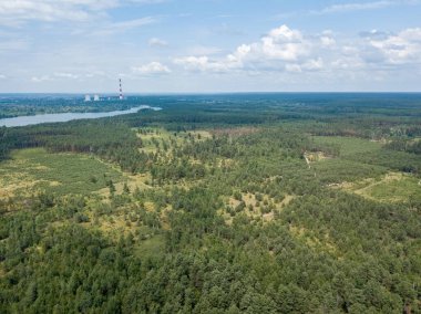 Yazın yeşil orman. Hava aracı görünümü.